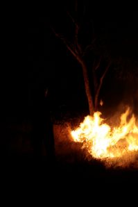 Fire at Bimblebox, by Glenda Orr