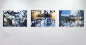 Reconfigured Landscape no. 1, 2, 3.  Shayna Wells, photo Carl Warner.  Currently touring with Bimblebox: art - science - nature.